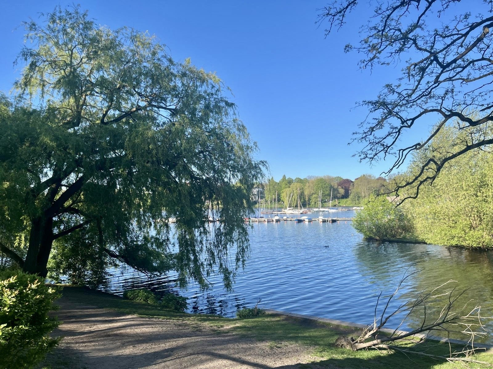 Wasser und Grün in bester Lage
